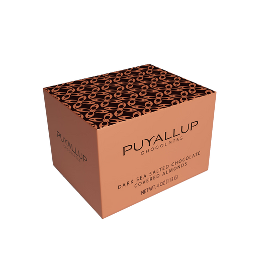 Dark Sea Salted Chocolate Covered Almonds