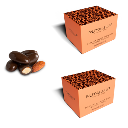 Near Perfect Dark Chocolate Almonds 2ct